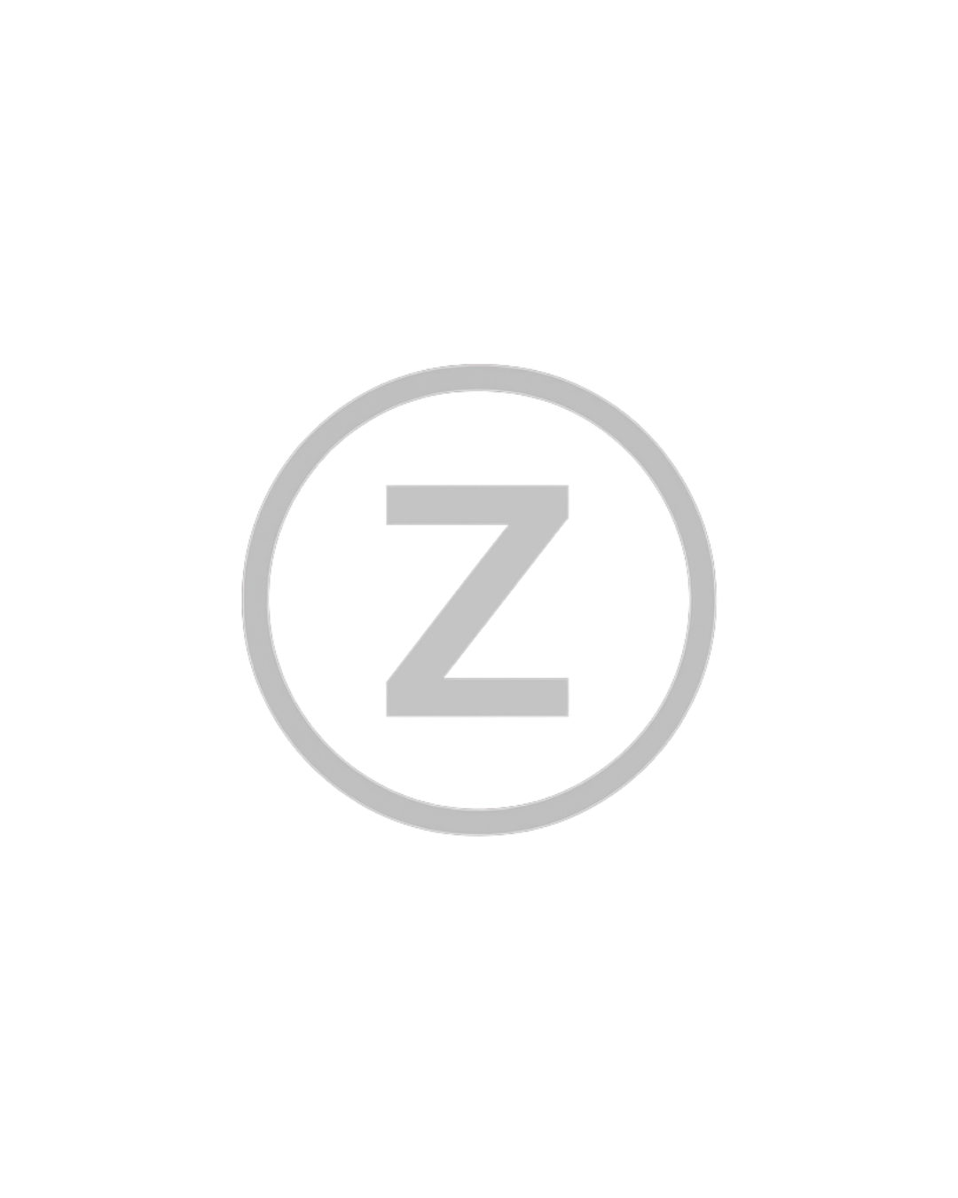 Logo Zenlen
